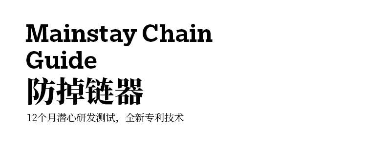 Mainstay Chain Guide防掉链器.png